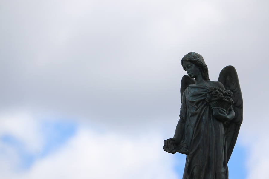 Fotos: Incendio en Ambasaguas