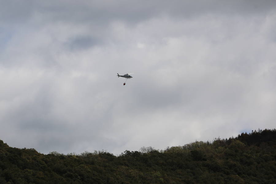 Fotos: Incendio en Ambasaguas