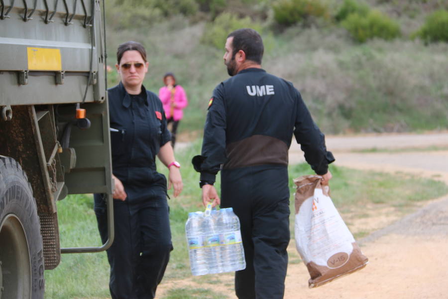 Fotos: Incendio en Ambasaguas