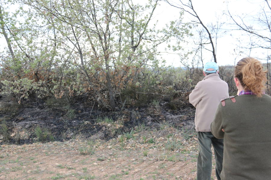 Fotos: Incendio en Ambasaguas