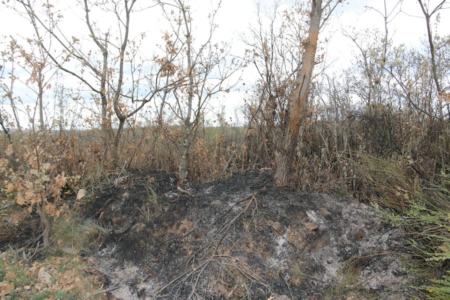Fotos: Incendio en Ambasaguas