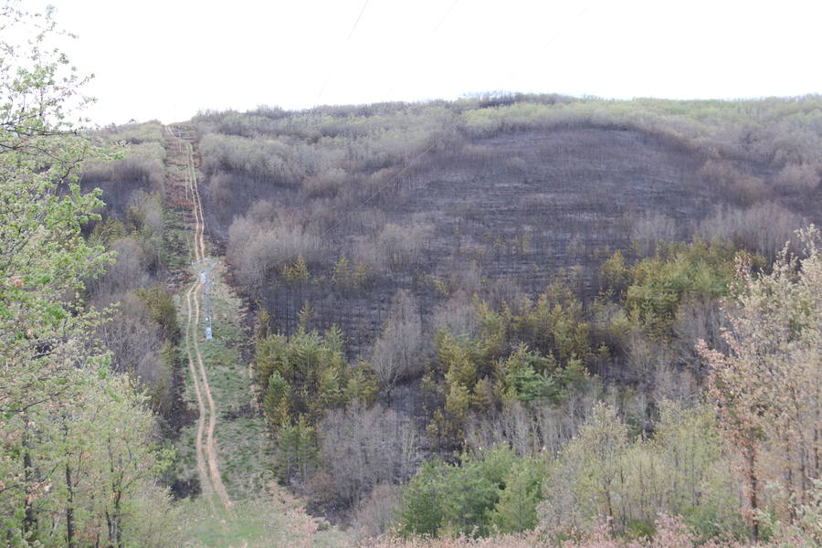 Fotos: Incendio en Ambasaguas