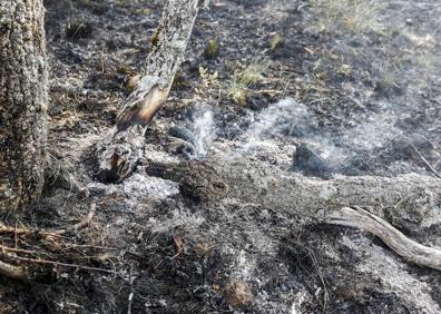 Imagen secundaria 1 - Diversos detalles del incendio. 