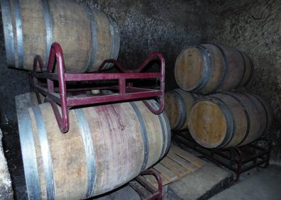 Imagen secundaria 1 - Imágenes de la bodega y viñas de Casis.