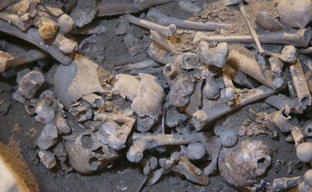 Imagen de los restos localizados en la excavación.