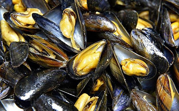 Hasta los mejillones de EE UU dan positivo en opiáceos