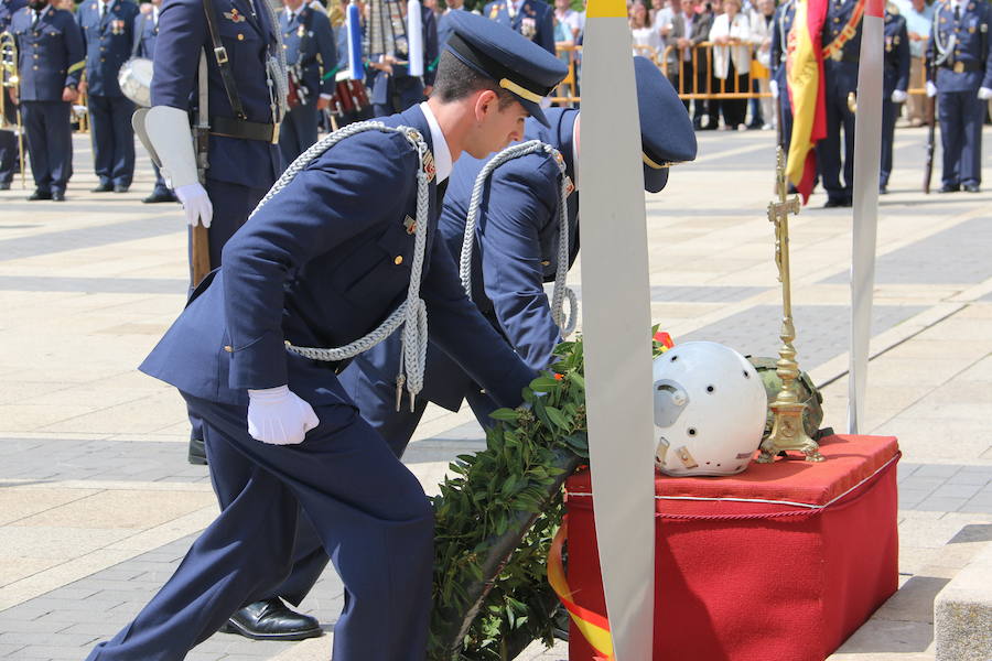 Fotos: Nuevos hijos para León