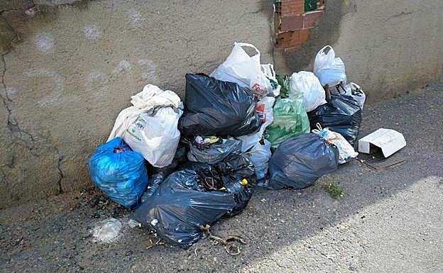 La basura fuera de los contenedores.