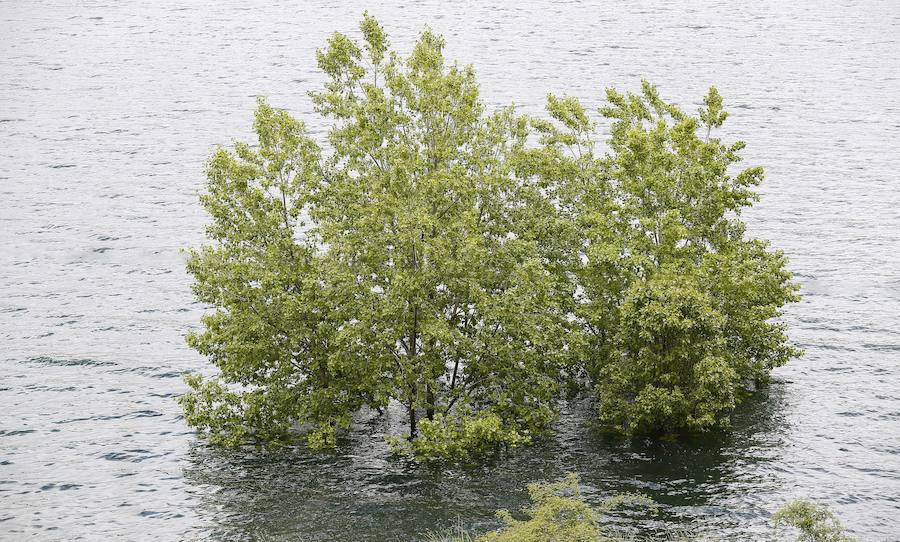 Fotos: Embalse de los Barrios de Luna al 96% de su capacidad