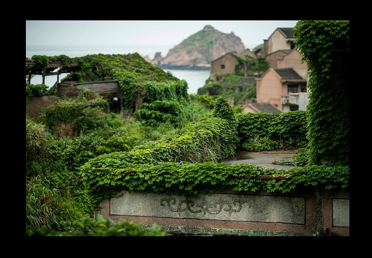 En Houtouwan, una pequeña aldea en las islas Shengsi, a 50 kilómetros de Shanghai, sólo vive un puñado de personas. Sus moradores, unos 2.000 pescadores y sus familias, tuvieron que emigrar a comienzos de la década de 1990 en busca de oportunidades, cuando la pequeña bahía se volvió insuficiente para atender la creciente demanda de la industria pesquera. El paso del tiempo y la naturaleza se han adueñado de las casas, que fueron la cuna de varias generaciones de pescadores, para abrazarlas y crear este sorprendente entorno: un fantasma verde, como un paisaje de otro mundo. 