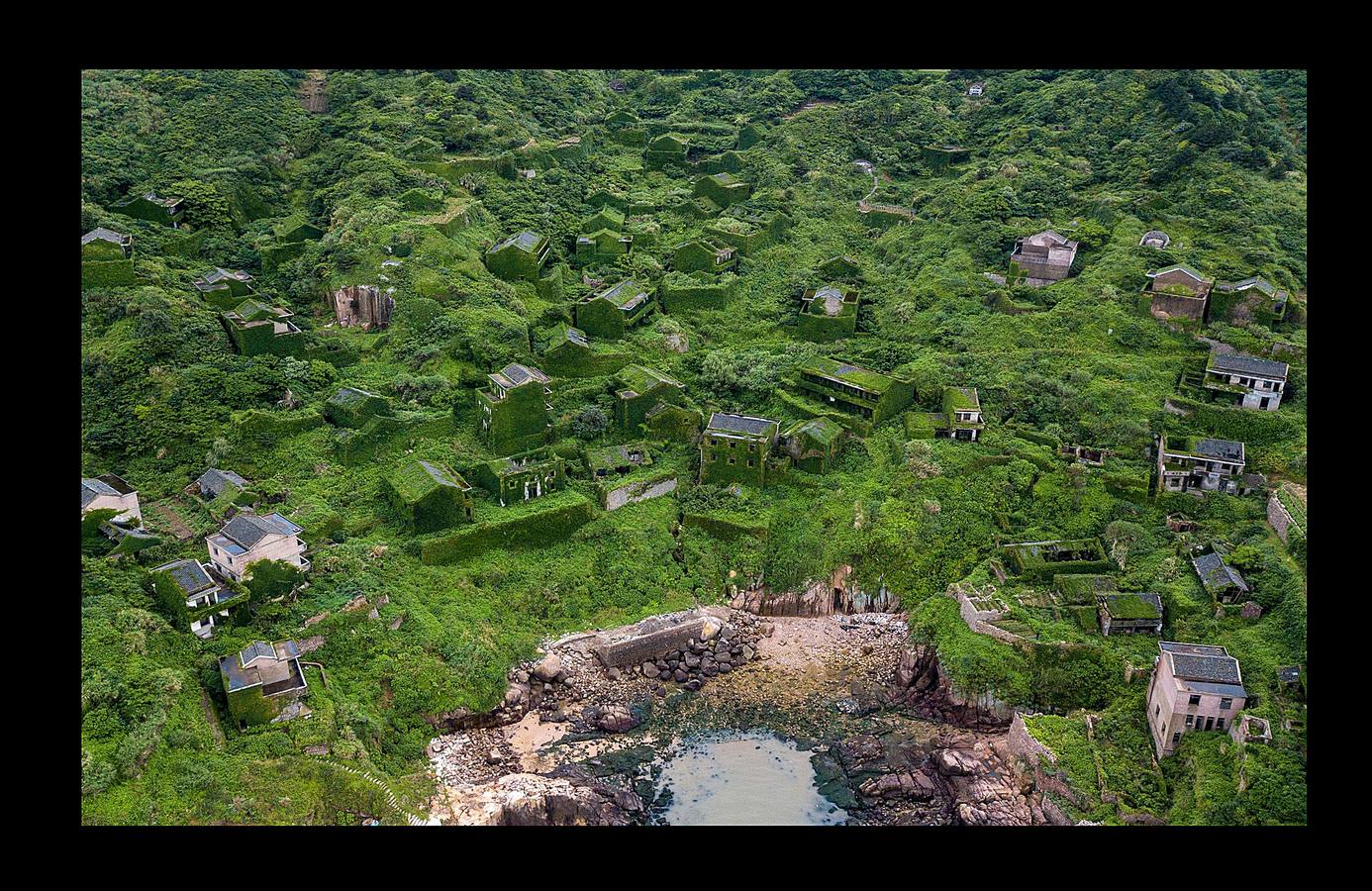 En Houtouwan, una pequeña aldea en las islas Shengsi, a 50 kilómetros de Shanghai, sólo vive un puñado de personas. Sus moradores, unos 2.000 pescadores y sus familias, tuvieron que emigrar a comienzos de la década de 1990 en busca de oportunidades, cuando la pequeña bahía se volvió insuficiente para atender la creciente demanda de la industria pesquera. El paso del tiempo y la naturaleza se han adueñado de las casas, que fueron la cuna de varias generaciones de pescadores, para abrazarlas y crear este sorprendente entorno: un fantasma verde, como un paisaje de otro mundo. 