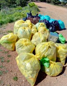 Imagen secundaria 2 - Detalles de la recogida. 