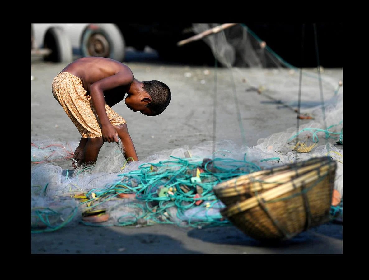 Una parte de los refugiados Rohingya que huyeron de Myanmar han encontrado trabajo en las pesquerías de la vecina Bangladesh. El campamento de refugiados de Shamlapur, cercano a una colonia de pescadores, es el hogar de unos 10.000 refugiados, que trabajan en la mar por alrededor de 3 dólares y una parte de las capturas. Las mujeres acompañan a sus maridos en la tarea secando y clasificando los peces sobre enormes mesas de madera, envueltas en moscas por un salario aún menor. Según funcionarios del Gobierno esta industria genera ingresos de 20 millones de dólares. Pero incluso los niños tienen que trabajar duro.