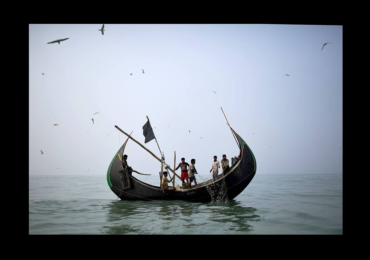 Una parte de los refugiados Rohingya que huyeron de Myanmar han encontrado trabajo en las pesquerías de la vecina Bangladesh. El campamento de refugiados de Shamlapur, cercano a una colonia de pescadores, es el hogar de unos 10.000 refugiados, que trabajan en la mar por alrededor de 3 dólares y una parte de las capturas. Las mujeres acompañan a sus maridos en la tarea secando y clasificando los peces sobre enormes mesas de madera, envueltas en moscas por un salario aún menor. Según funcionarios del Gobierno esta industria genera ingresos de 20 millones de dólares. Pero incluso los niños tienen que trabajar duro.