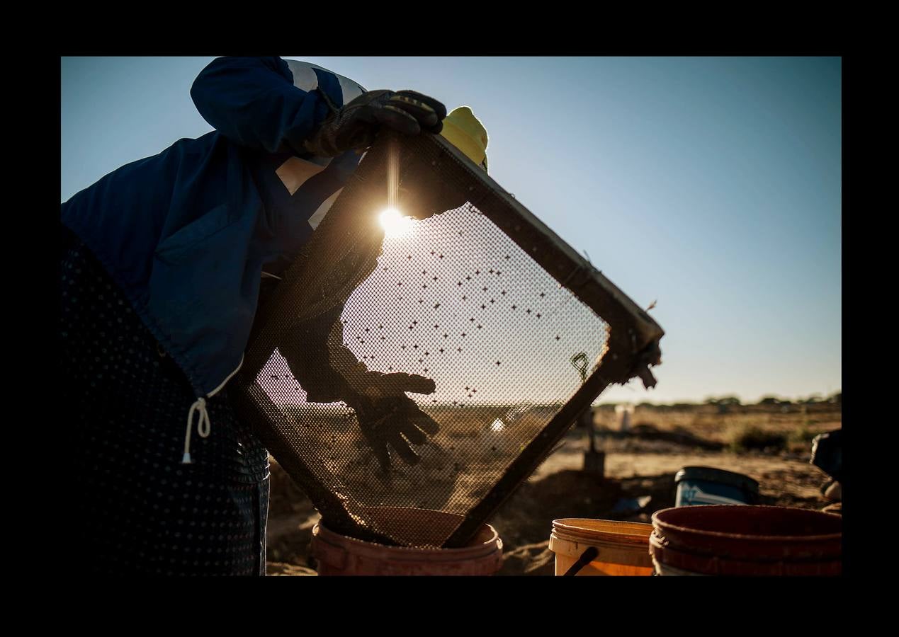 La localidad de Kimberley, en el centro de Sudáfrica, se hizo famosa en el último tercio del siglo XIX gracias a la fiebre del diamante. A la sombra de «Big Hole» (el gran agujero), la mina que convirtió la ciudad en una especie de poblado del Lejano Oeste, florecieron las grandes explotaciones. También los pequeños mineros independientes, que se afanaban entre los restos y gangas de las grandes compañías. Hace un par de meses 800 de estos mineros, que aún tientan a la suerte fuera de la ley, recibieron permisos para operar en una vasta extensión de terreno cerca de Kimberley. Un acuerdo histórico para frenar el crecimiento de la minería ilegal, estimulado por el desempleo. 