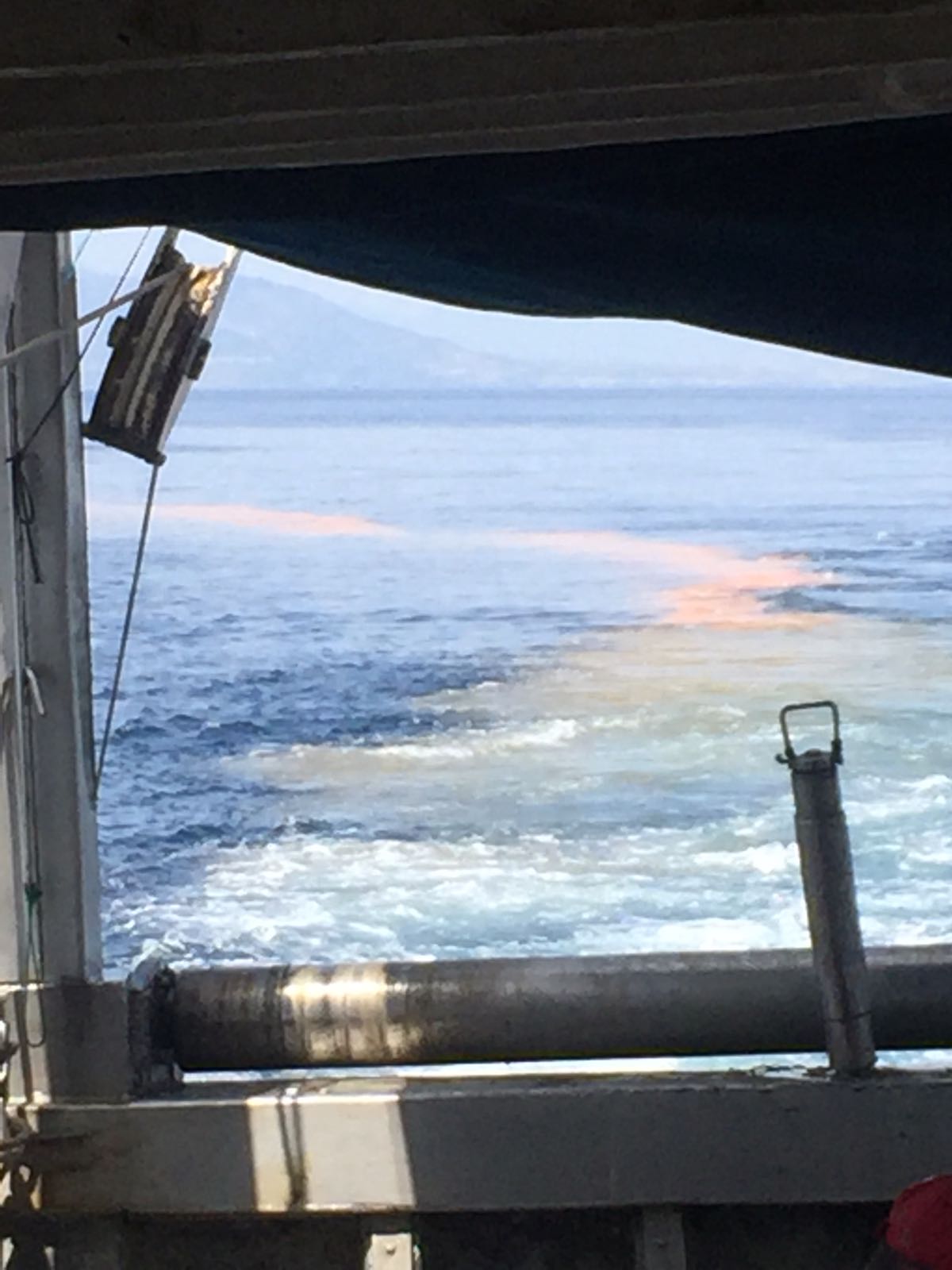 Pescadores avistan entre Rincón de la Victoria y Málaga una gran mancha que el levante empuja hacia la costa