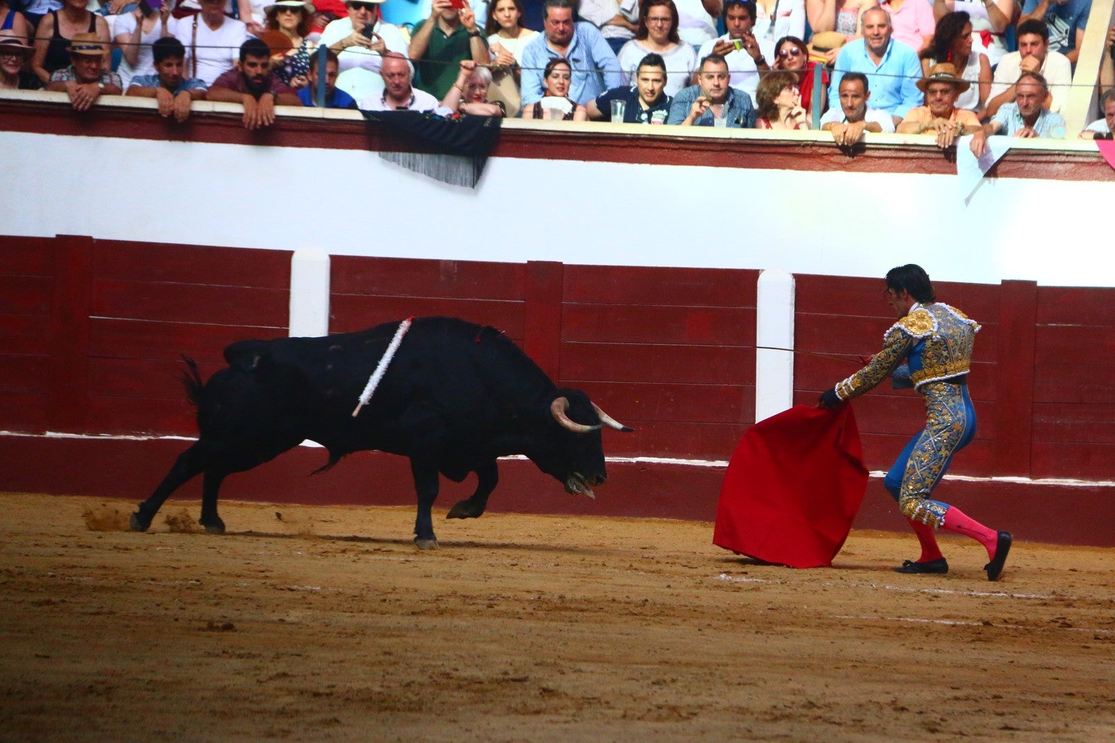 Fotos: Corrida del día  de San Juan, Morante, Manzanares, Talavante y Roca Rey