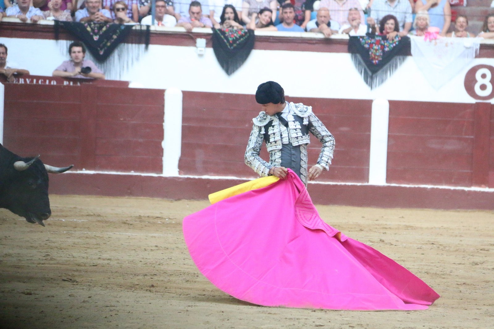 Fotos: Corrida del día  de San Juan, Morante, Manzanares, Talavante y Roca Rey
