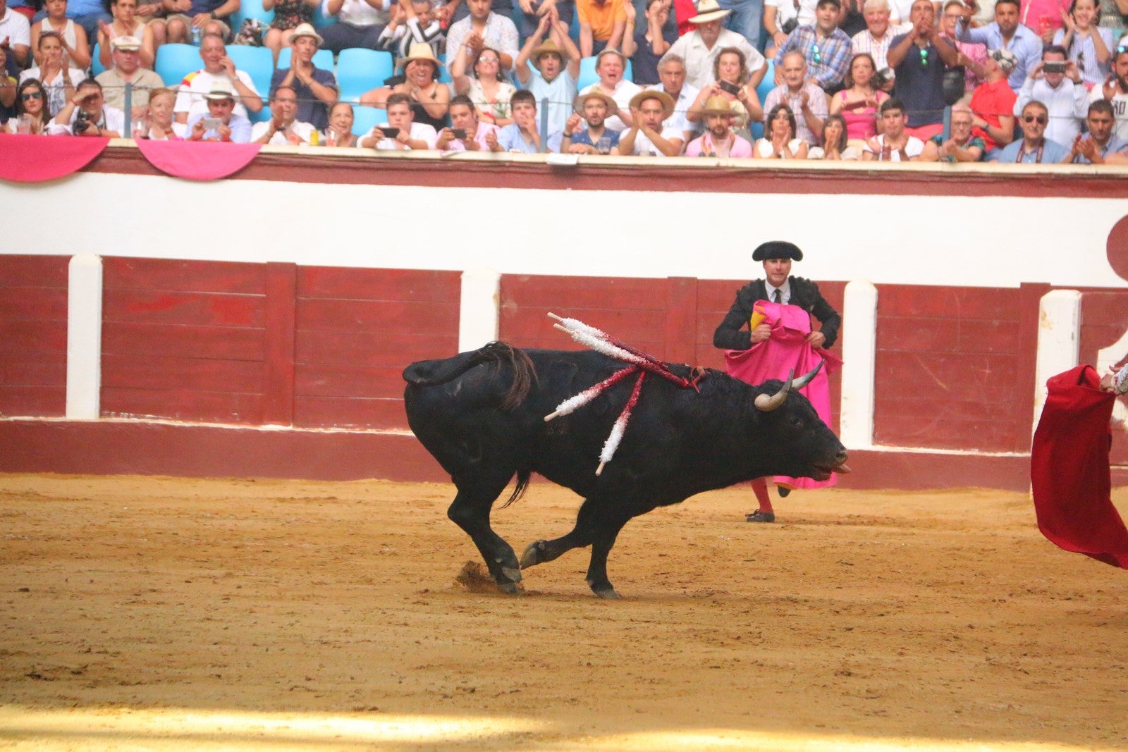 Fotos: Corrida del día  de San Juan, Morante, Manzanares, Talavante y Roca Rey
