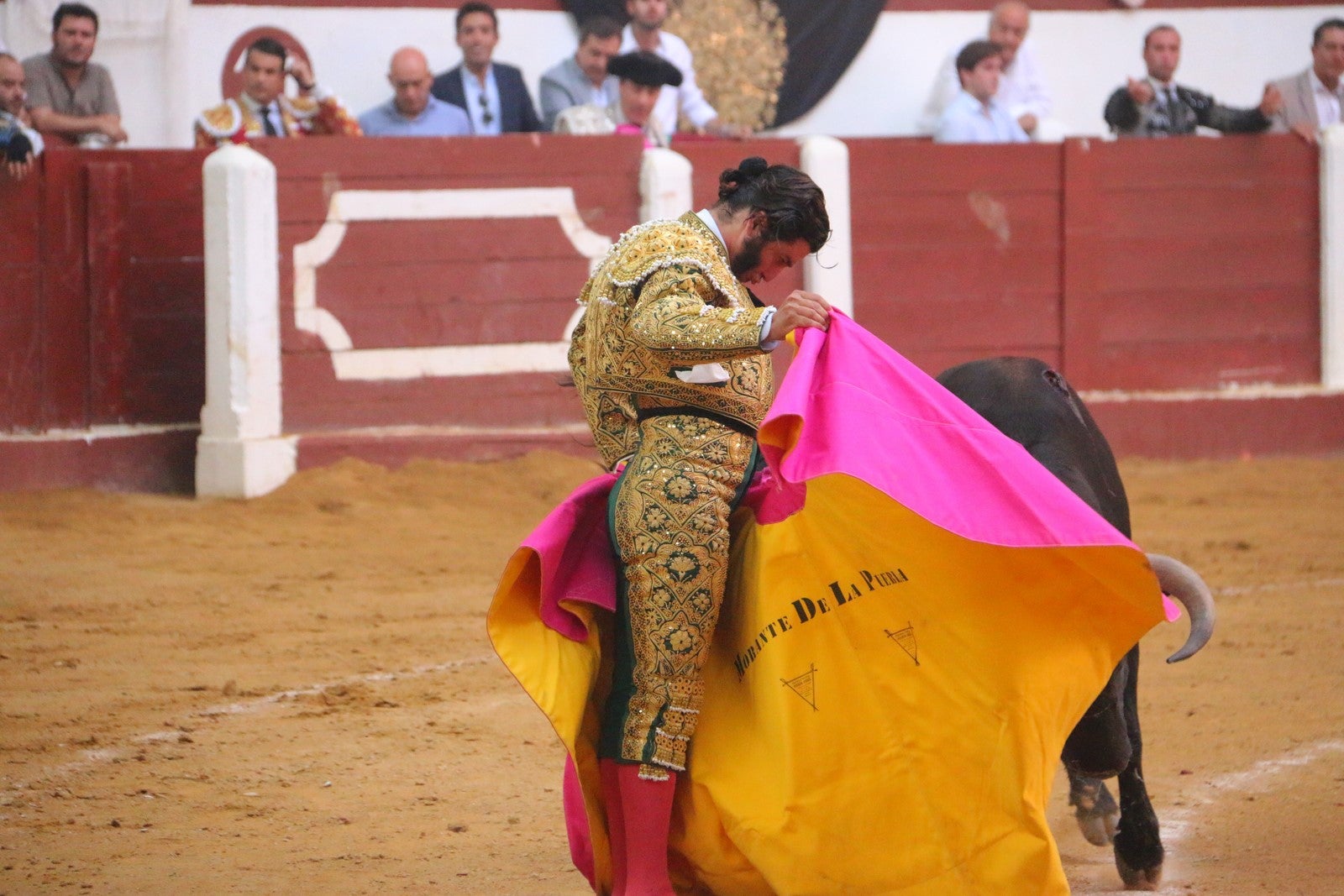 Fotos: Corrida del día  de San Juan, Morante, Manzanares, Talavante y Roca Rey