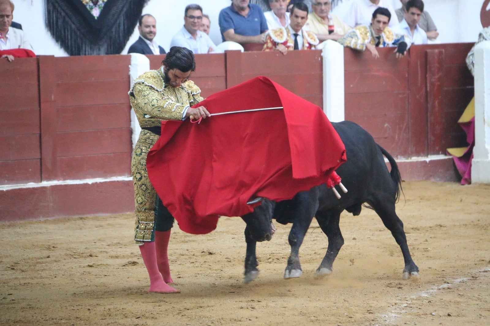 Fotos: Corrida del día  de San Juan, Morante, Manzanares, Talavante y Roca Rey