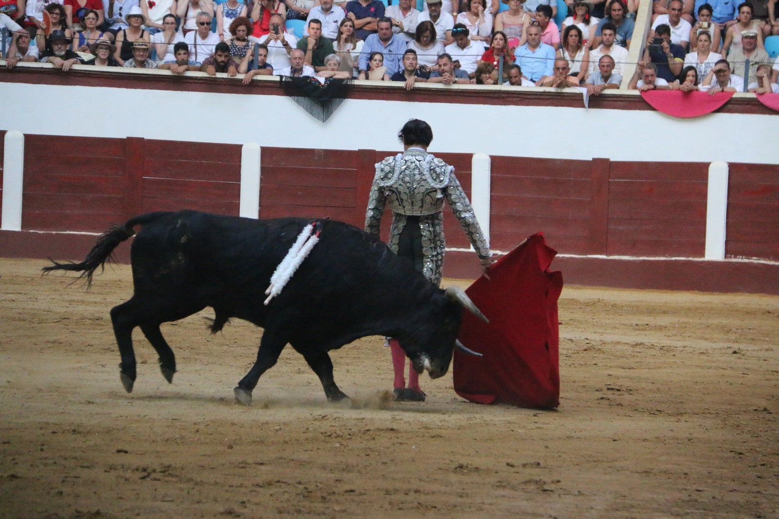 Fotos: Corrida del día  de San Juan, Morante, Manzanares, Talavante y Roca Rey