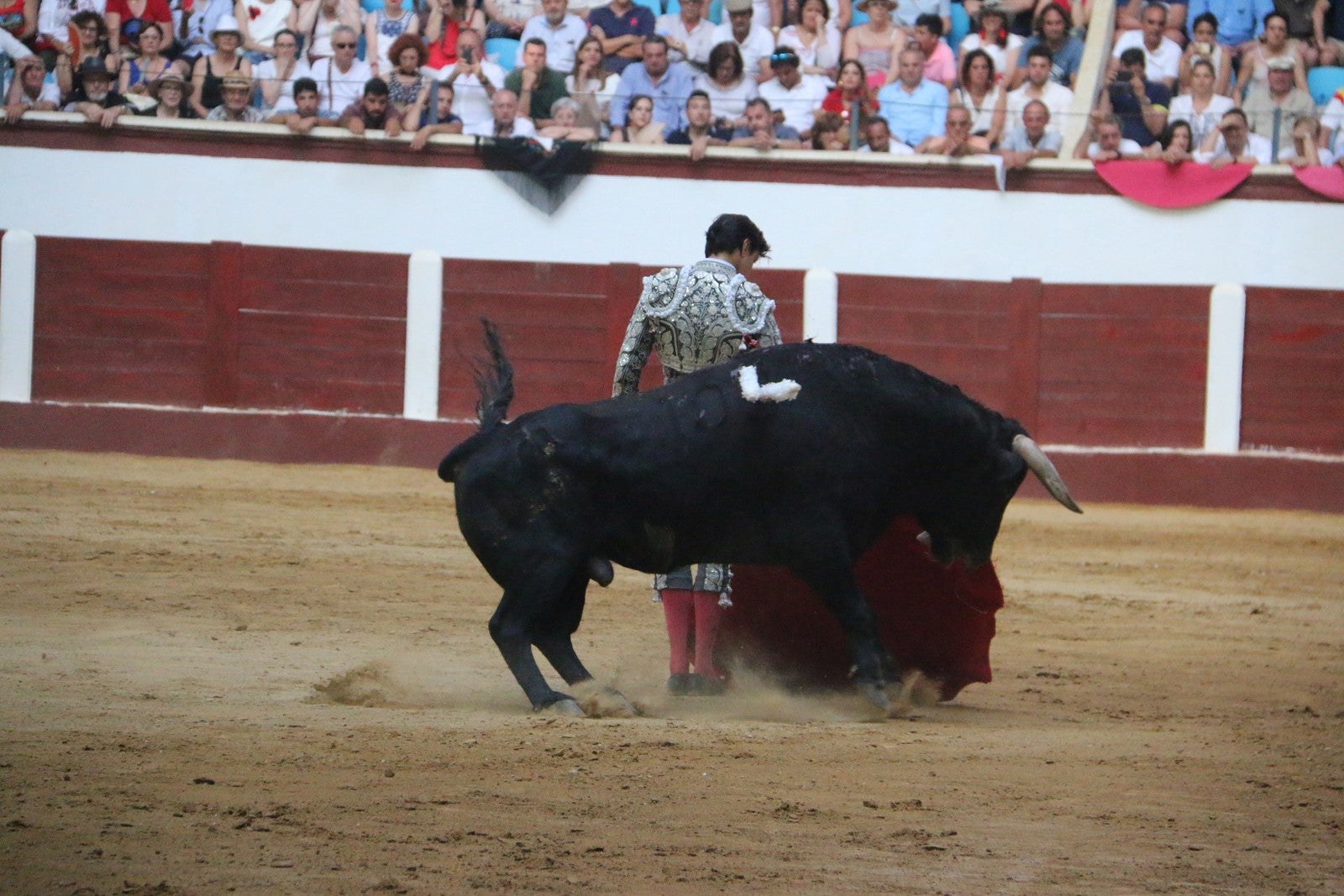 Fotos: Corrida del día  de San Juan, Morante, Manzanares, Talavante y Roca Rey