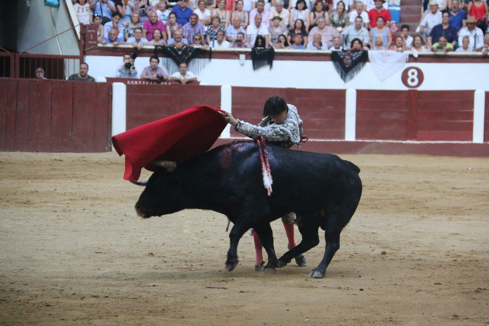 Fotos: Corrida del día  de San Juan, Morante, Manzanares, Talavante y Roca Rey