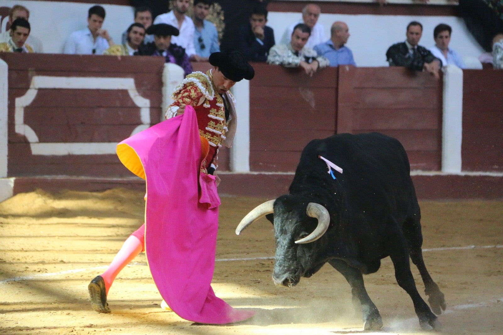Fotos: Corrida del día  de San Juan, Morante, Manzanares, Talavante y Roca Rey
