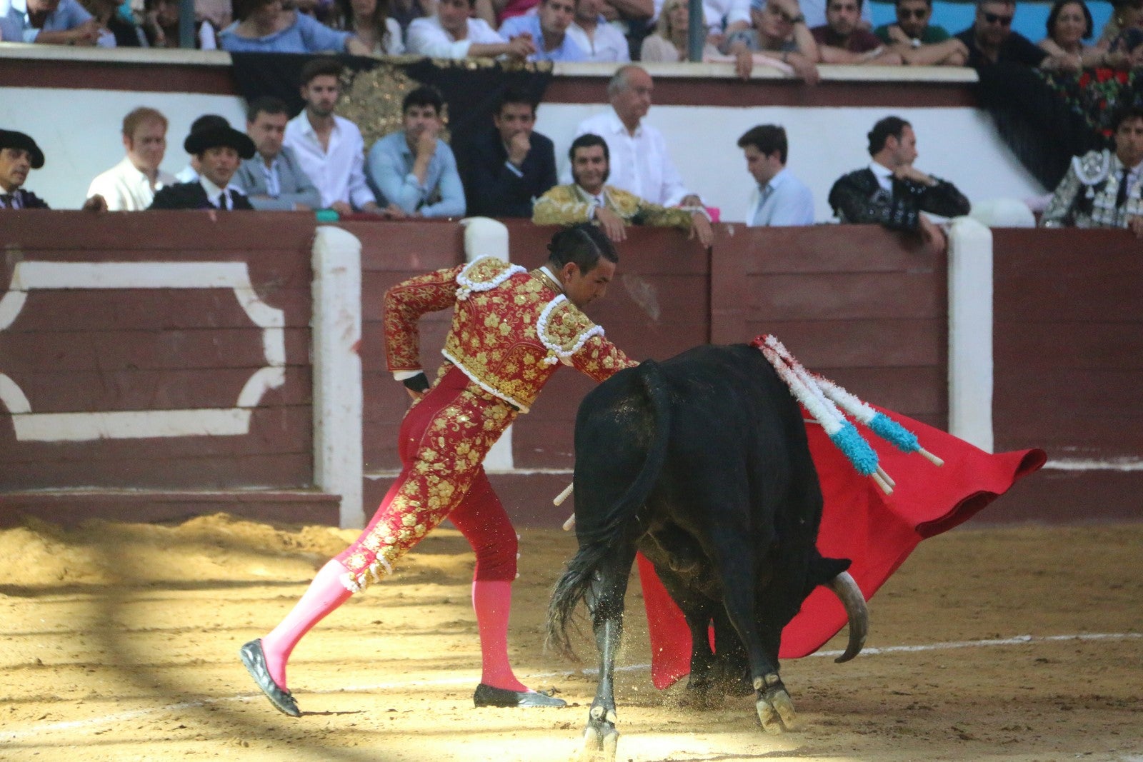 Fotos: Corrida del día  de San Juan, Morante, Manzanares, Talavante y Roca Rey