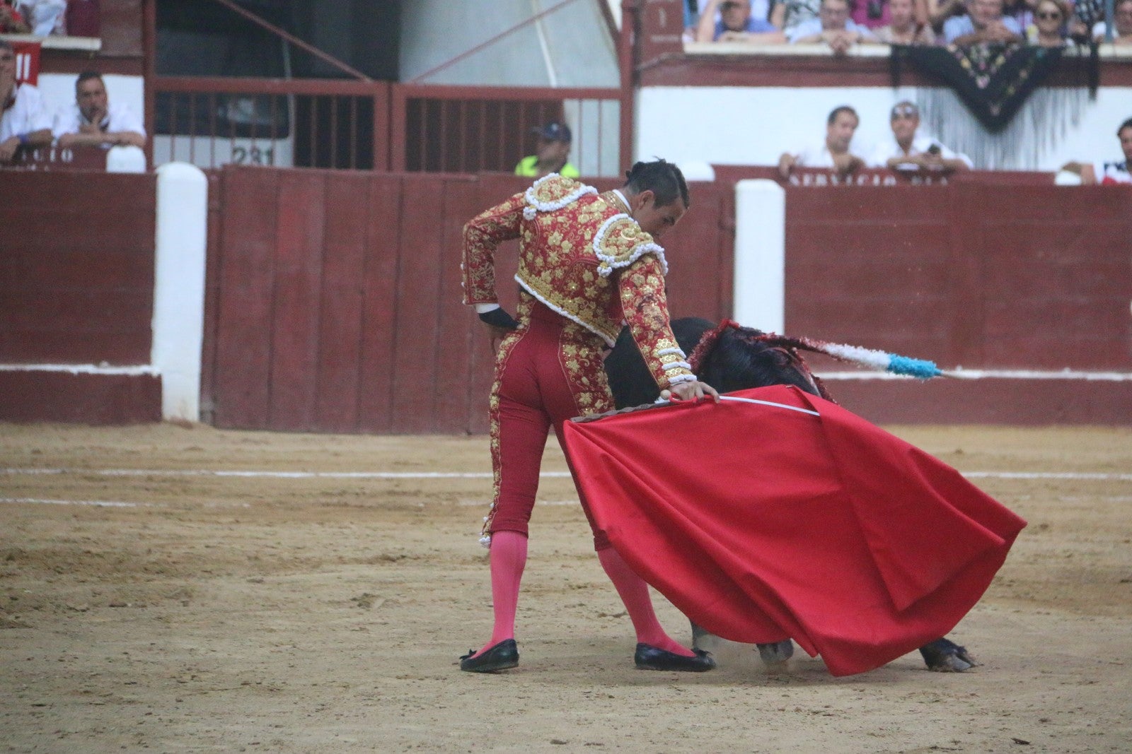 Fotos: Corrida del día  de San Juan, Morante, Manzanares, Talavante y Roca Rey
