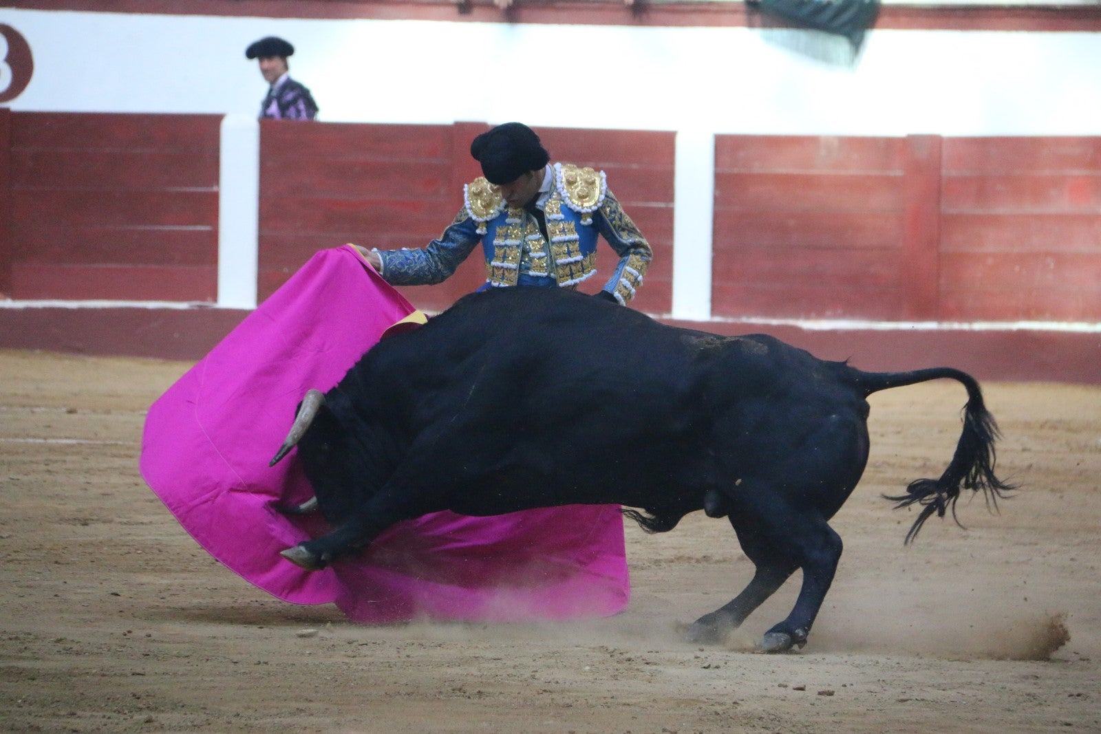 Fotos: Corrida del día  de San Juan, Morante, Manzanares, Talavante y Roca Rey