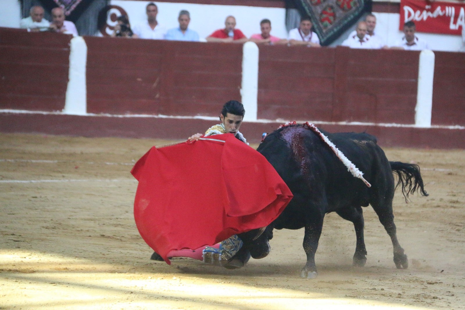 Fotos: Corrida del día  de San Juan, Morante, Manzanares, Talavante y Roca Rey