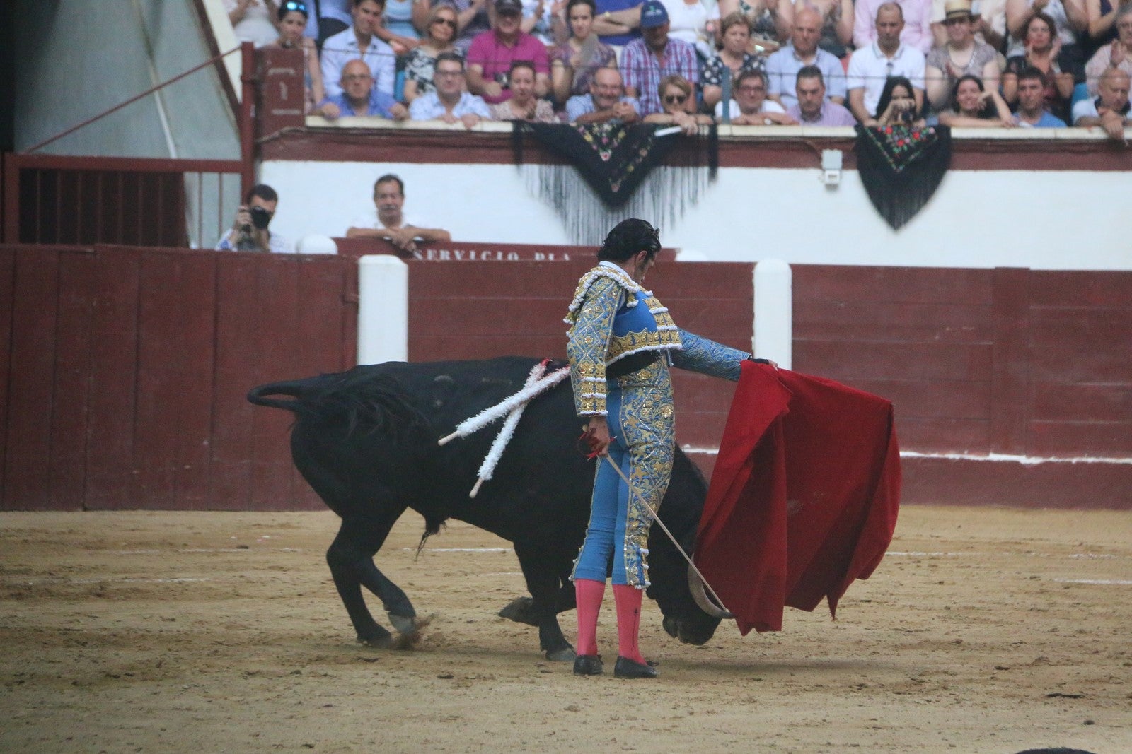 Fotos: Corrida del día  de San Juan, Morante, Manzanares, Talavante y Roca Rey