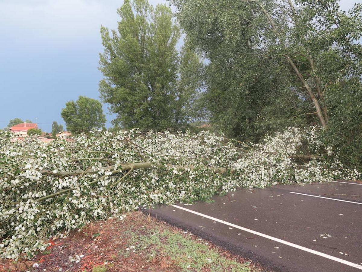 Fotos: Efectos de la lluvia en Villaobispo