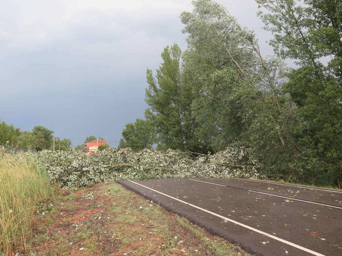 Fotos: Efectos de la lluvia en Villaobispo