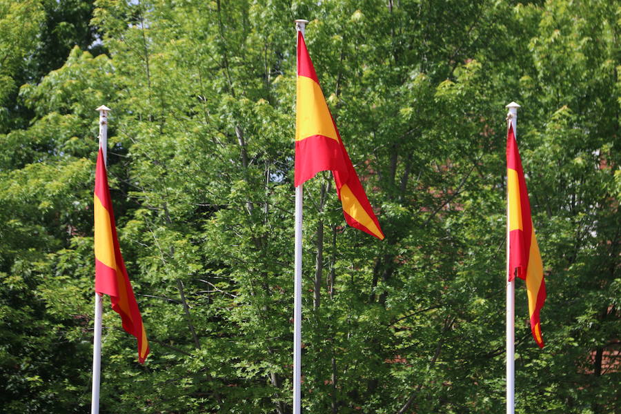 Fotos: El Rey Felipe VI entrega los despachos a los sargentos de la ABA
