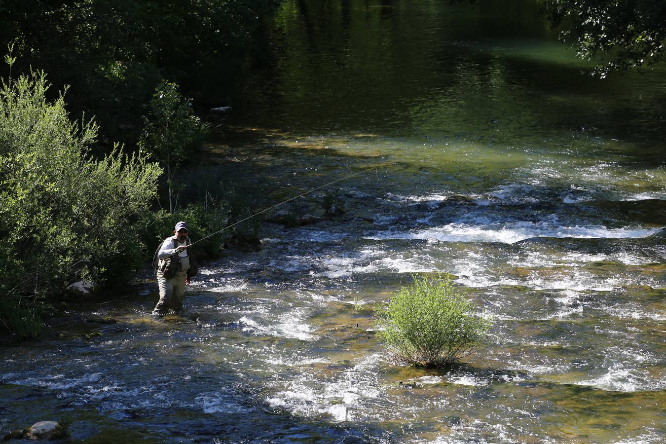 Un pescador en el río Rudrón en Valdelateja.