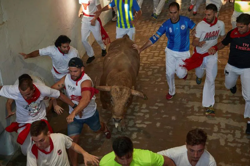 Los astados protagonizan una carrera rápida con algunos momentos de tensión