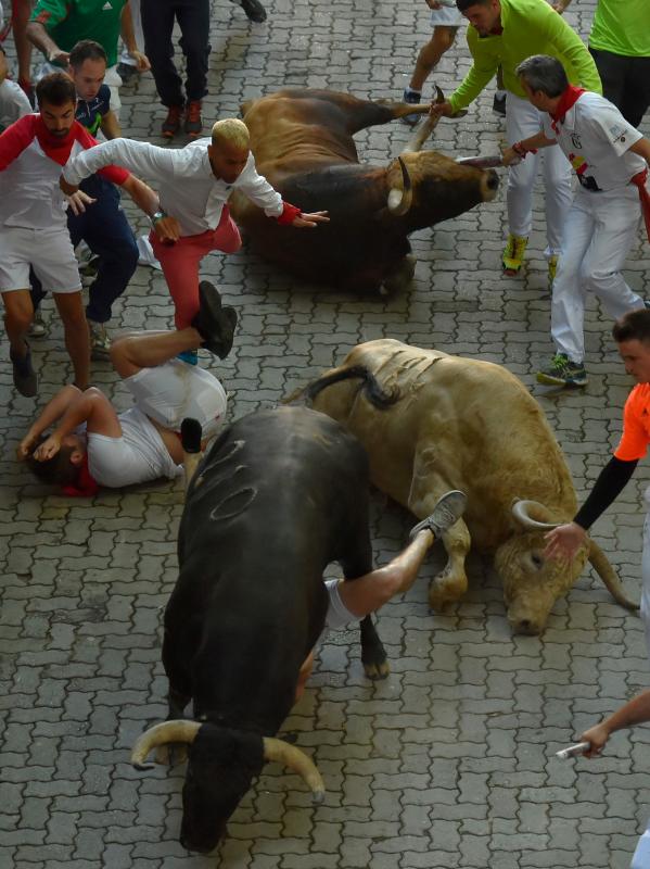 Los astados protagonizan una carrera rápida con algunos momentos de tensión