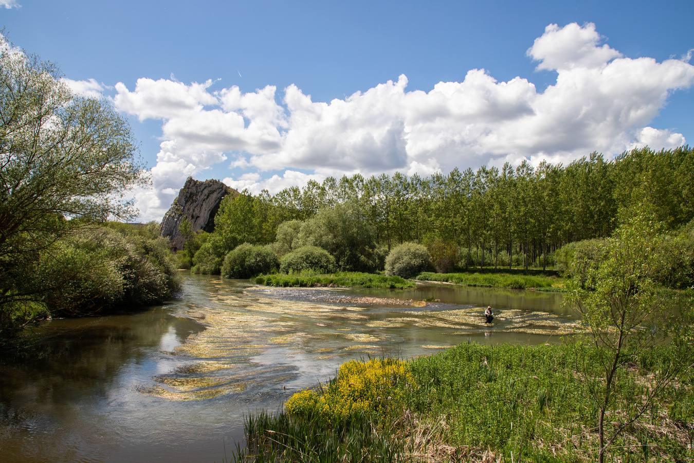 En la localidad palentina de Villaescusa de las Tuerces se levanta las gigantescas piedras en forma de setas, puentes y arcos naturales, cerrados callejones y umbrías covachuelas que dan lugar a un encantado paisaje en el que parecen habitar duendes y brujas