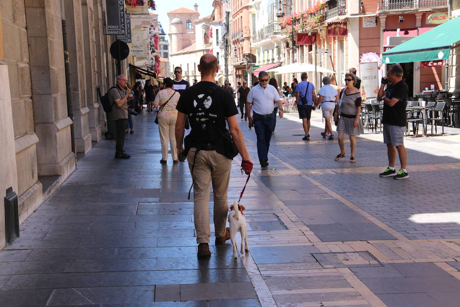 Fotos: Pipper ya pisa el suelo de León