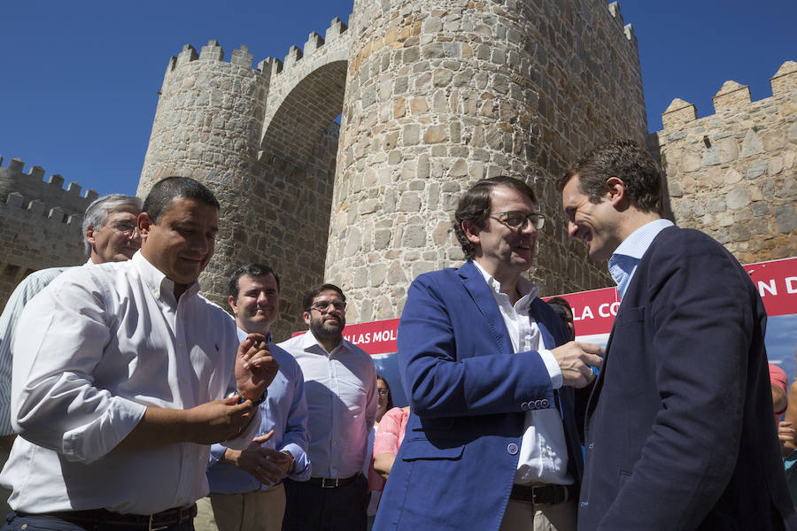 Fotos: Pablo Casado visita Ávila y preside la junta Directiva del PP de Ávila
