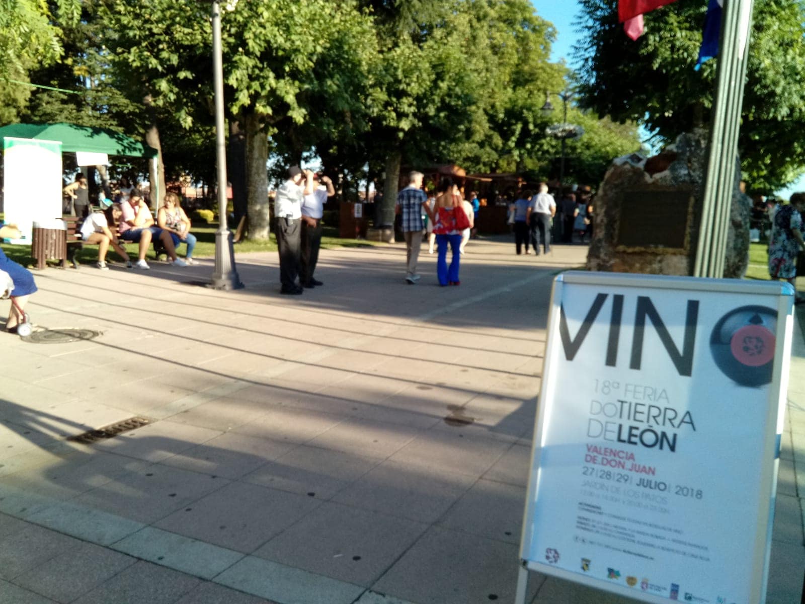 Fotos: El vino reina en Valencia de Don Juan