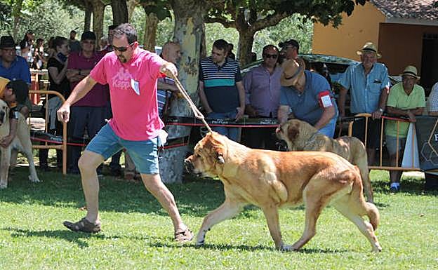Uno de los participantes, en acción.