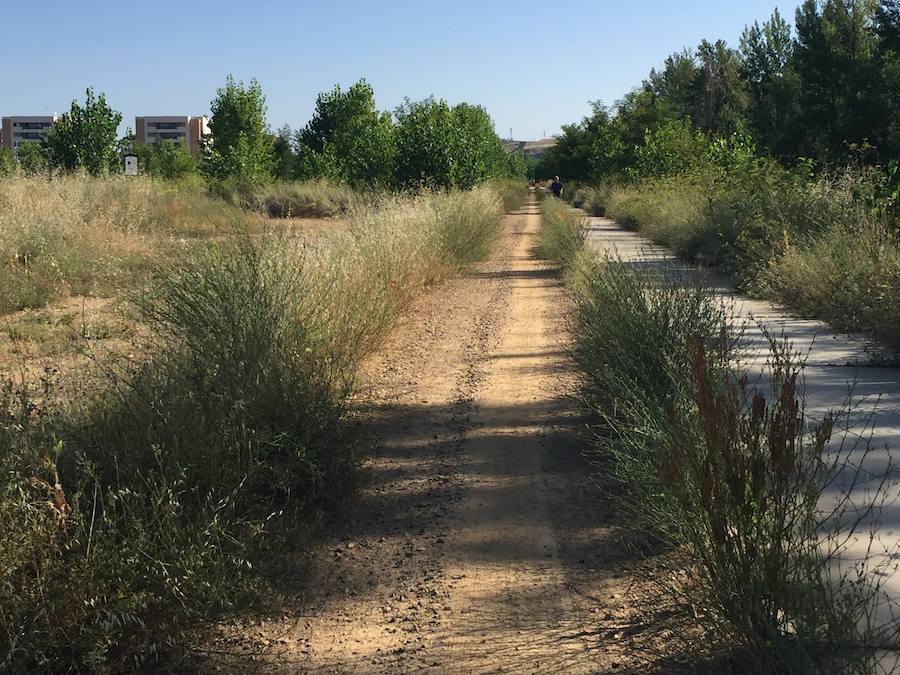 Fotos: Estado del paseo del río Bernesga en León a la altura de Puente Castro