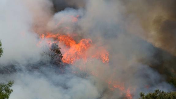 Incendio sufrido en León. 