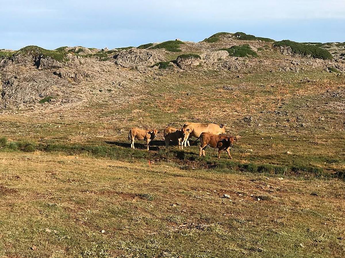 Fotos: Las mejores imágenes del Trail Villafeide 2018