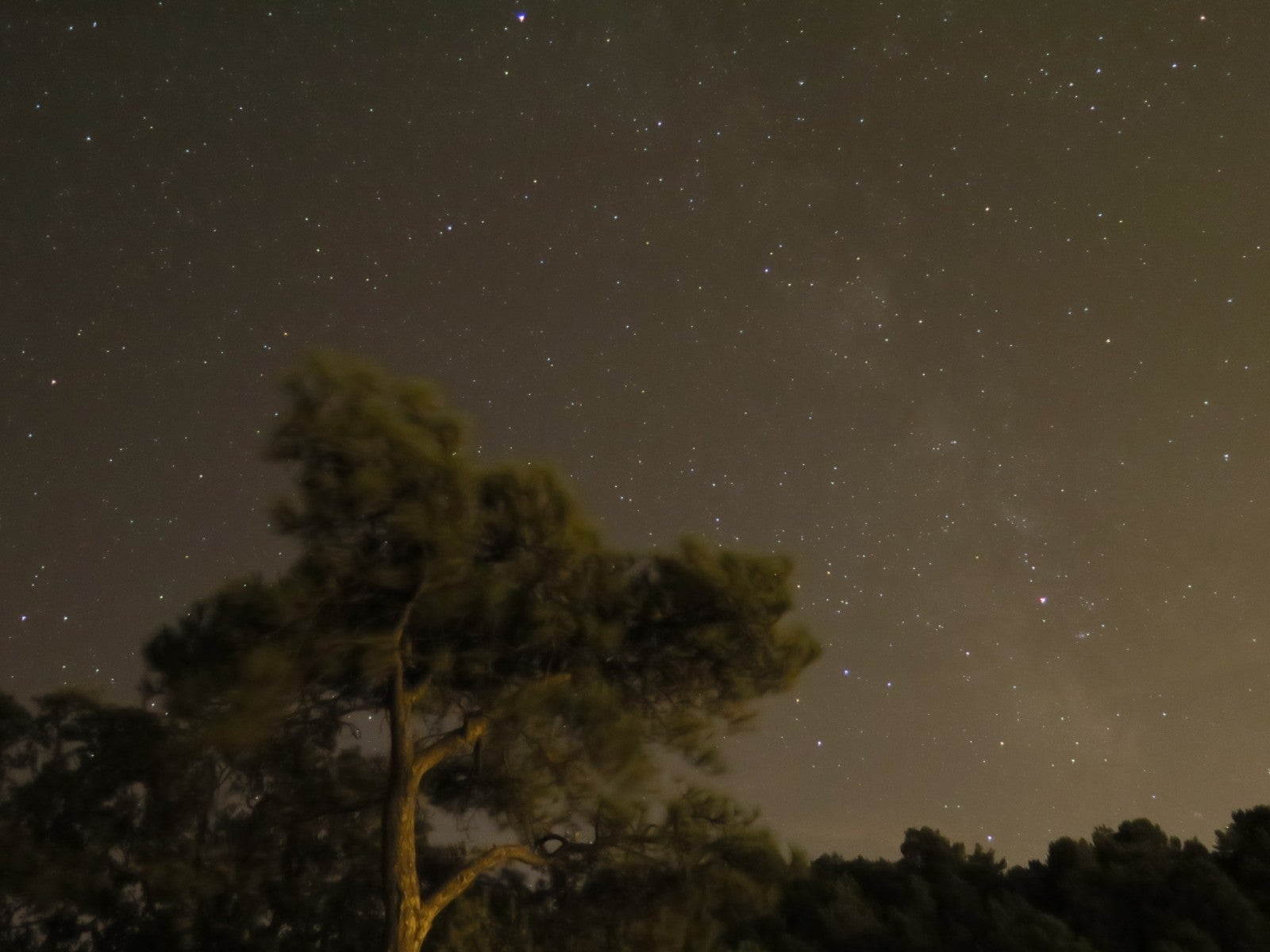 Fotos: Noche de luz