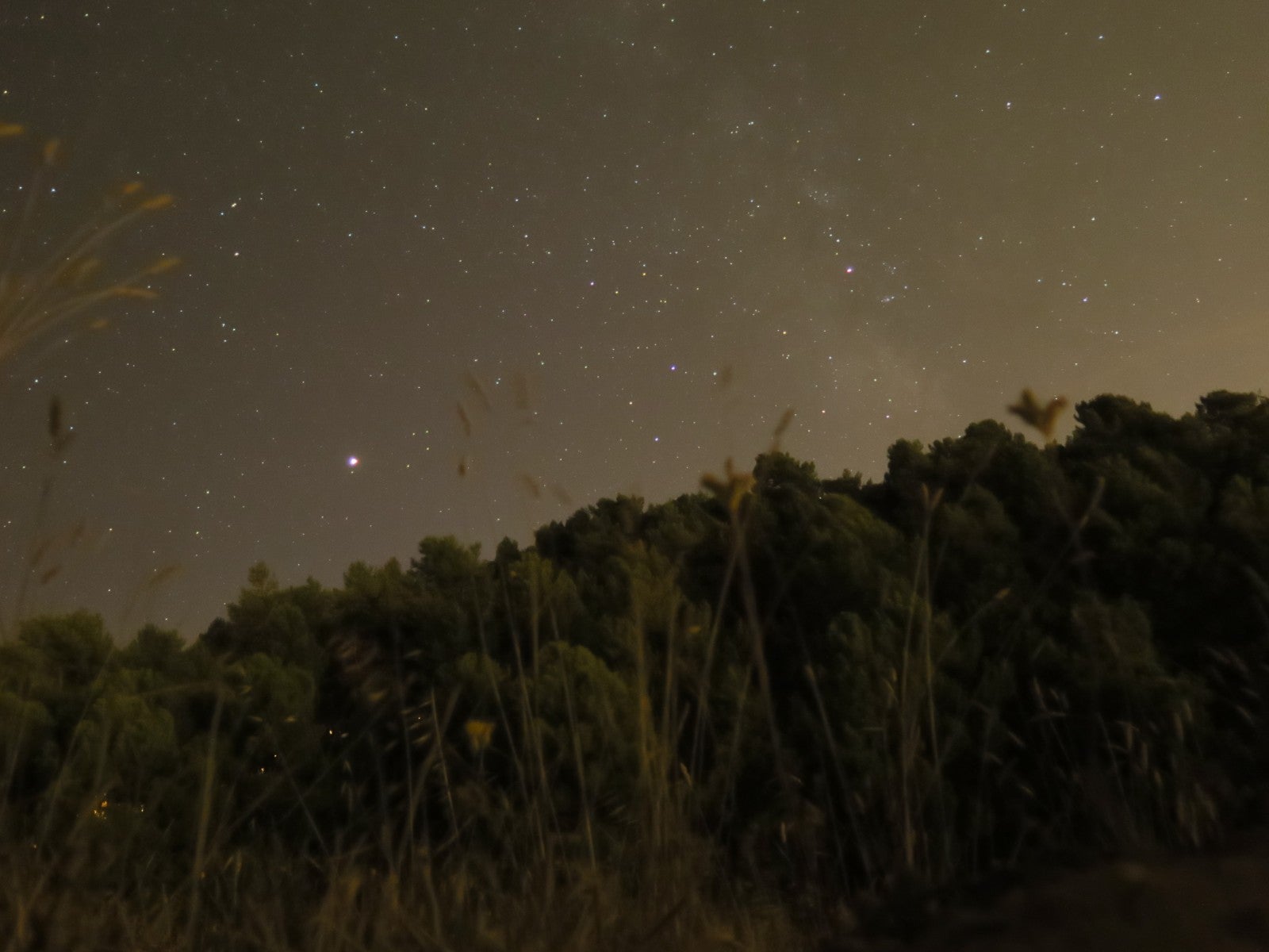 Fotos: Noche de luz